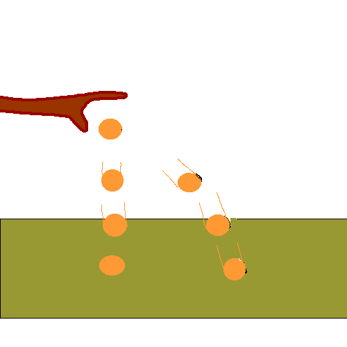 Projectile motion